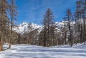 Piste le Colet - vue sur Pic de Rochebrune
