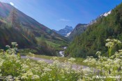 contemplation bucolique devant mont viso