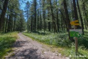 depart sentier chaurionde sous bois