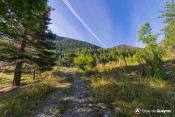 depart sentier col fromage foret gambarel chateau queyras