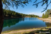 lac peyrol sous melezes