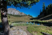 Le lac miroir : berges et ombre au pied de l'arbre, balisage GR5