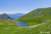 le lac neal depuis le col fleurs blanches