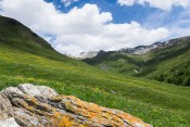 Dans la montée au Malrif : rocher, prairies vertes et flore de printemps