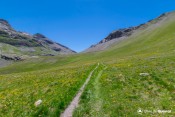 prairie jaune sous col de serenne laugier