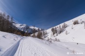 rail ski nordique piste loups vue sur vallee de la blanche