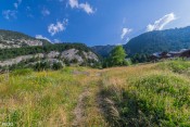 sentier ascension le long quartier queyras dans les herbes fleuries