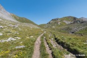 sentier fleuri sous col de peas