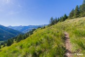 sentier sous moussou