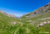 vallon laugier milieu vue ecrins