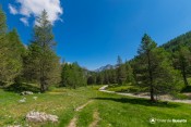 vue sur plan du vallon depuis gr58