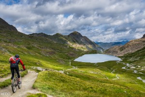 Vélo Route et Rando VTT