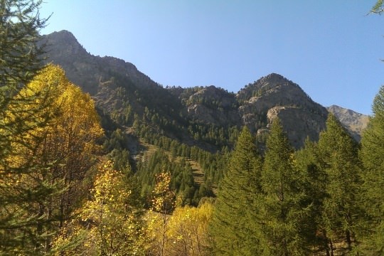 La saison d'automne est arrivée dans le Queyras : à vous les belles couleurs !