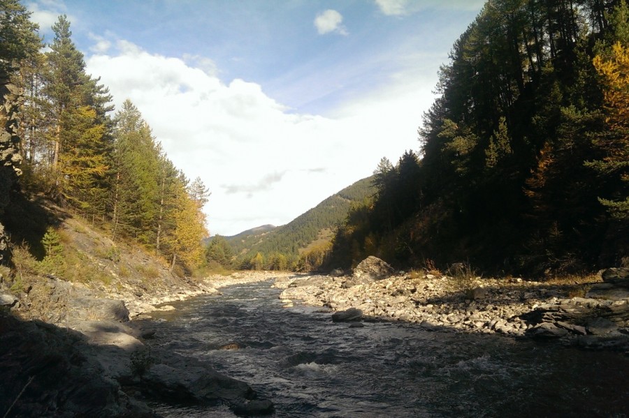 Pêche dans le Guil : point de situation sur la surmortalité des poissons