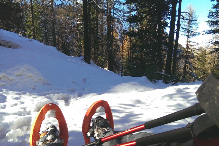 Bien choisir ses raquettes à neige • Randonnez-moi !