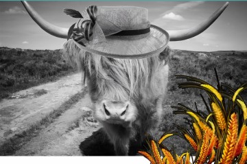 Foire Agricole Molines 2023