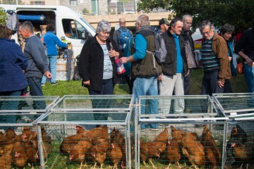 Foire Saint Luc Guillestre 2025