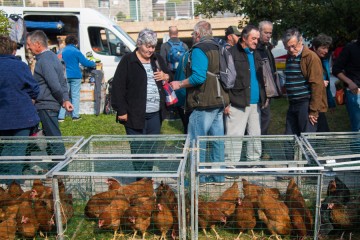 Foire Saint Luc Guillestre 2024