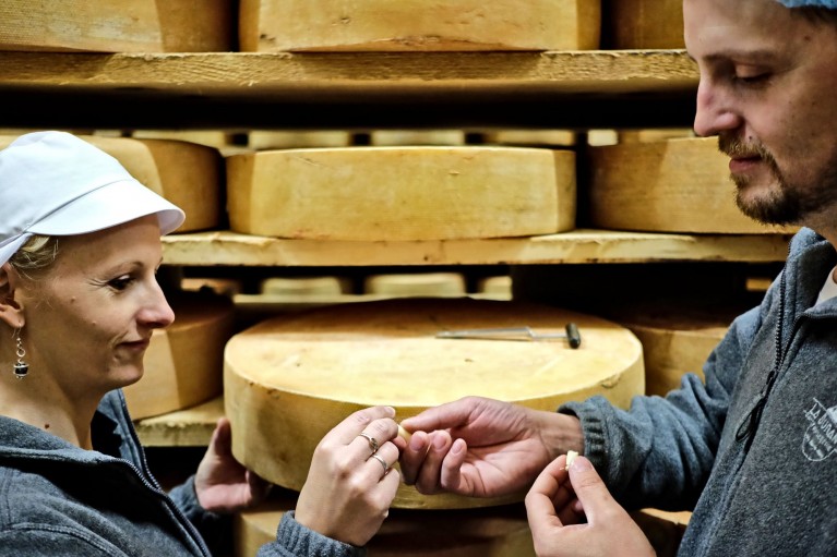 fromage test qualite