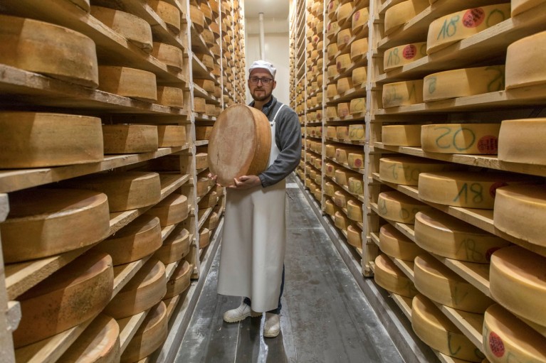 fromagerie queyras