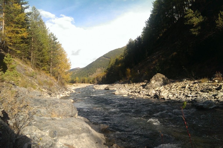 Le Guil entre aiguilles et Château-Queyras
