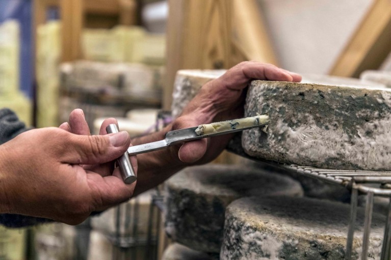 prelevement fromage test