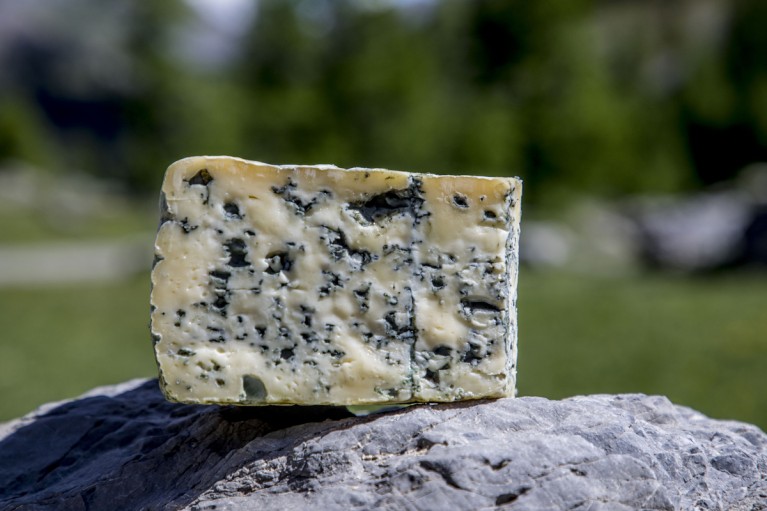 tranche fromage bleu du queyras