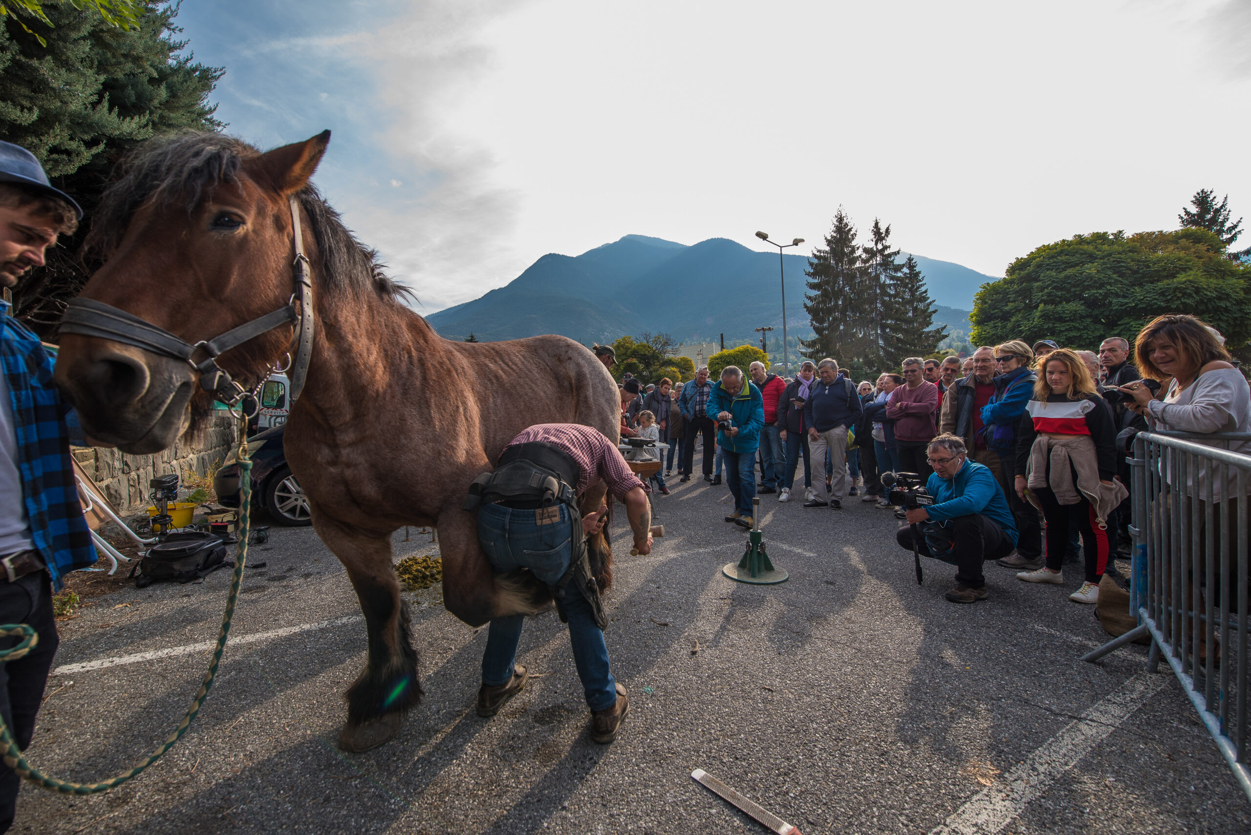 Foire Saint Luc Guillestre 2026