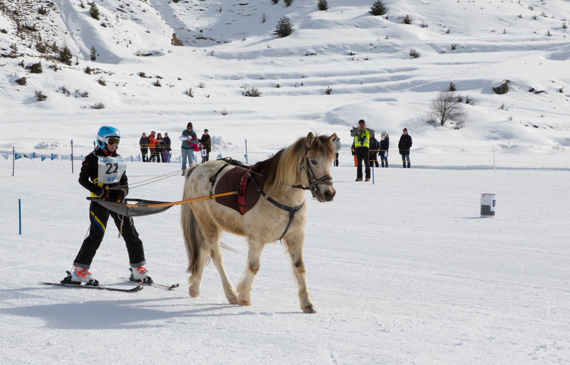 Championnat de France Ski Joëring Ceillac 2027